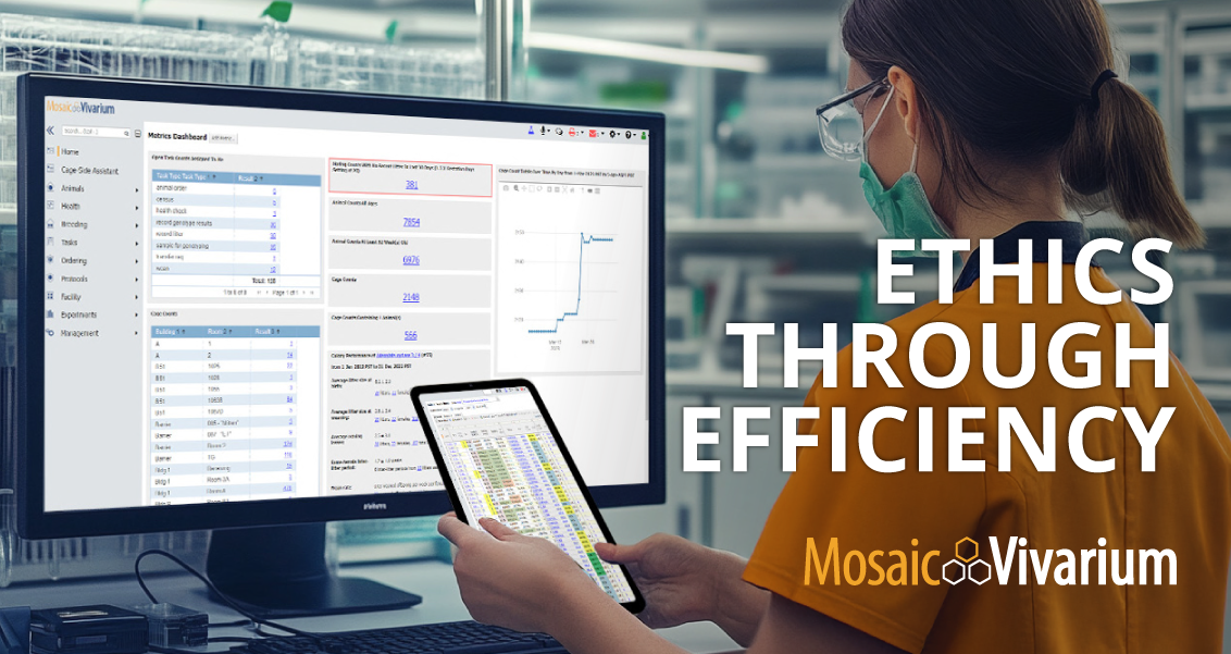 Ethics Through Efficiency